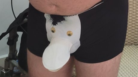 Pato Esclerozado vs Presuntinho onlyfans nude porn