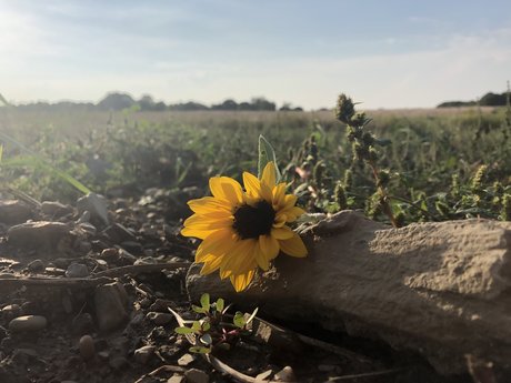 Summer Lyons onlyfans porn free