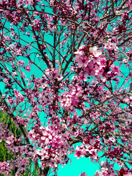 Maddawg onlyfans nude photos