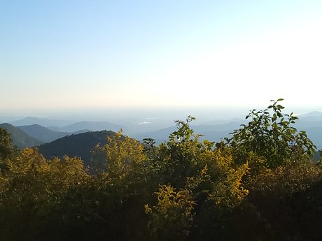 The Wild Fae onlyfans.