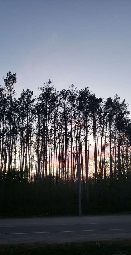 Alli Rose porn onlyfans