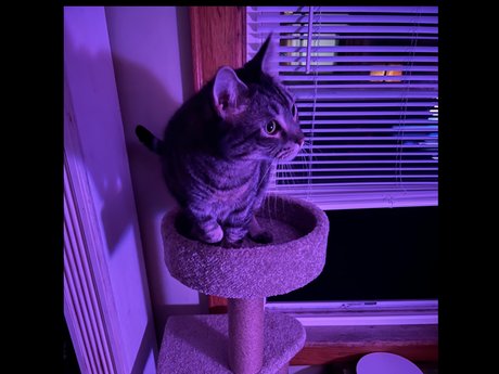 Timelordgwp onlyfans leak new