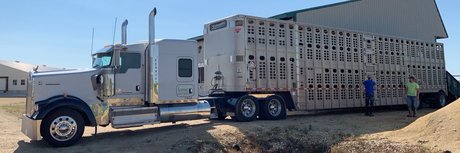 Todd Daehn onlyfans fotos