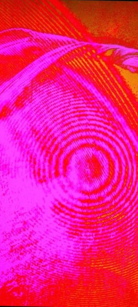 Reginald Regionz nudes onlyfans