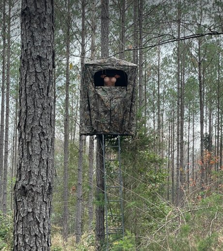 Kim Hennecy nudes onlyfans