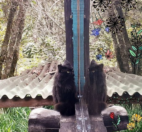 MakyMakys leaked onlyfans.