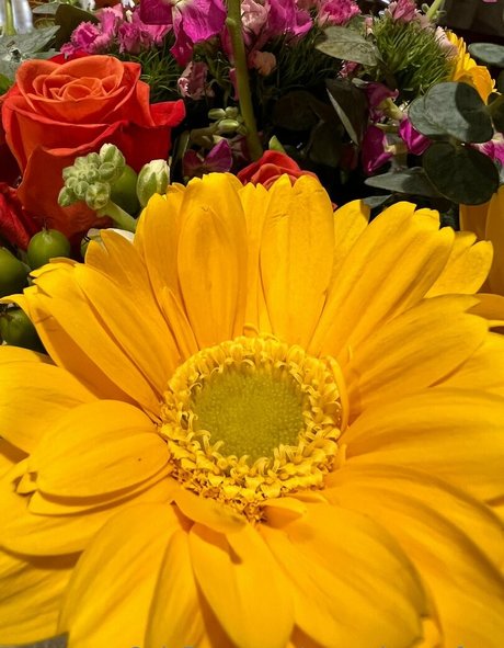 nurse jenna free sex tape onlyfans