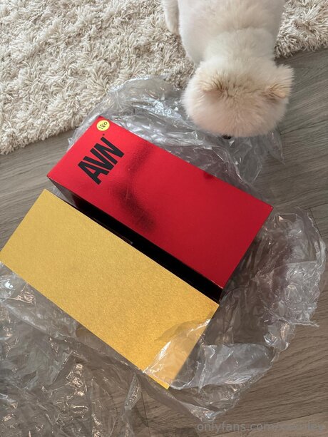 xxxriley onlyfans leaks free