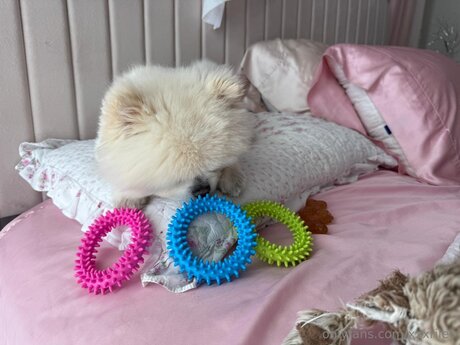 xxxriley naked onlyfans leaks