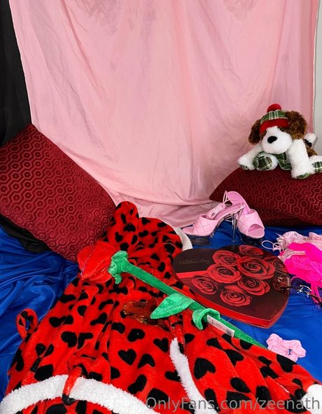 zeenath onlyfans leak