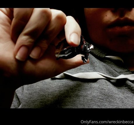 wreckinbecca onlyfans sex tape
