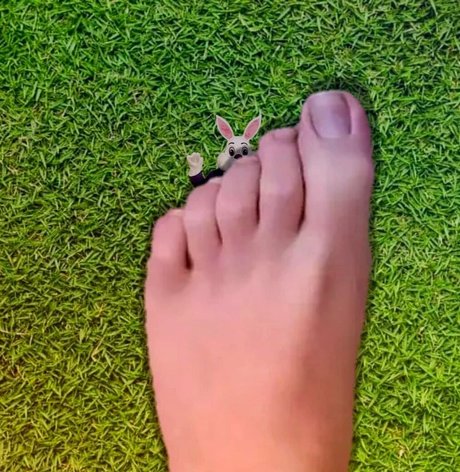 wreckinbecca onlyfans for free