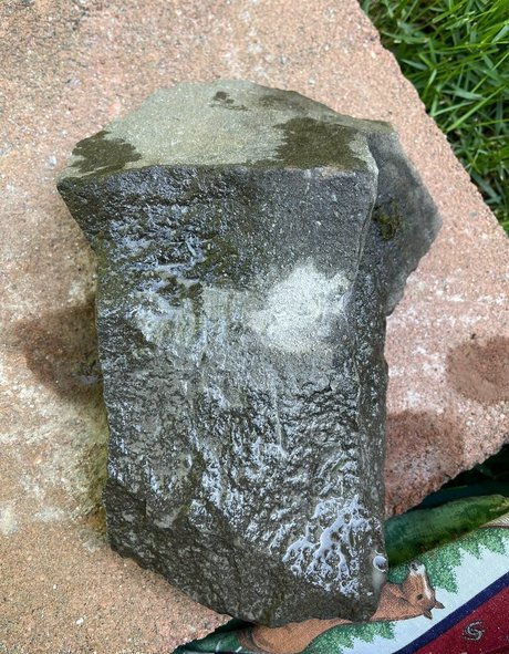 marstonhefner onlyfans posts