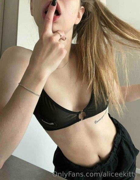 aliceekitty onlyfans leaked nude