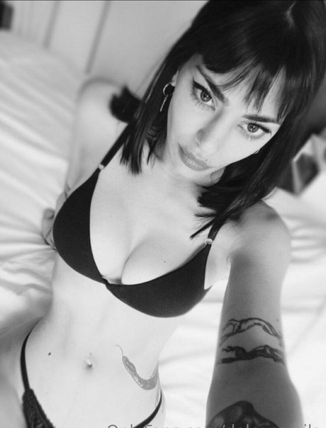 dolcecamila onlyfans nude tits