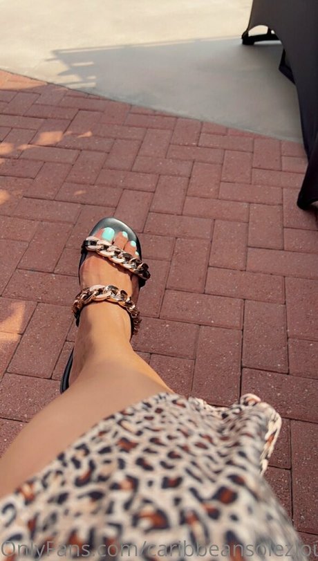 caribbeansolezlounge Profile pic