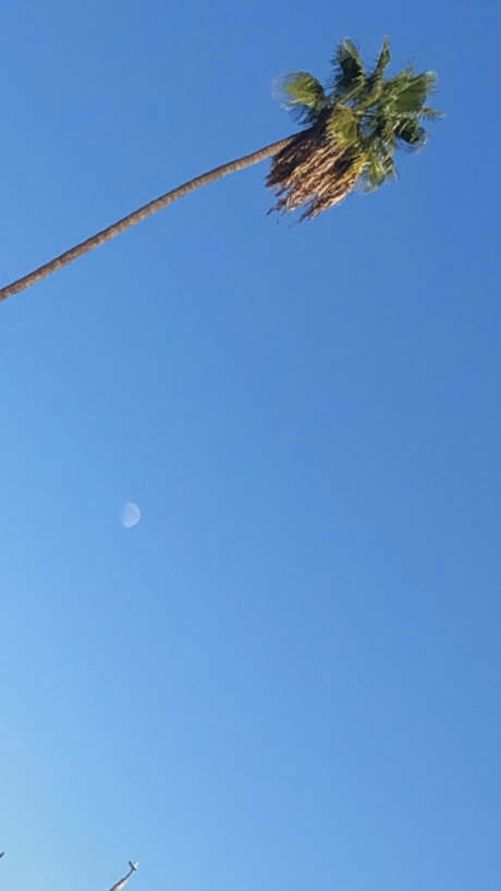 lllletsplay96 onlyfans leaked naked