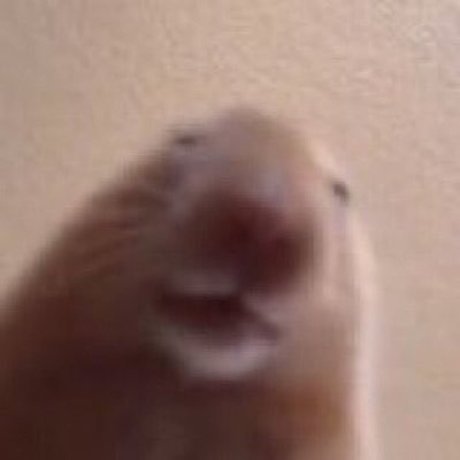 drakeclap gif onlyfans photos