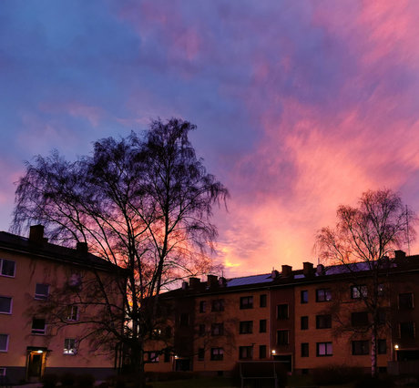 SunBunnie_ only fans nude leaks