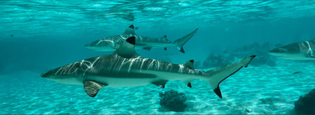 HotRiverGuy onlyfans post