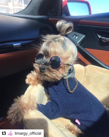 Black Marilyn Monroe onlyfans leaks.