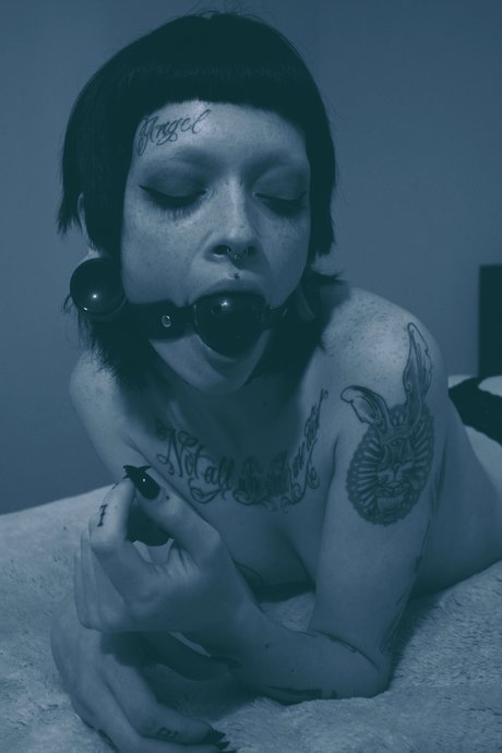 ThebunnyandThebear leaked nudes onlyfans