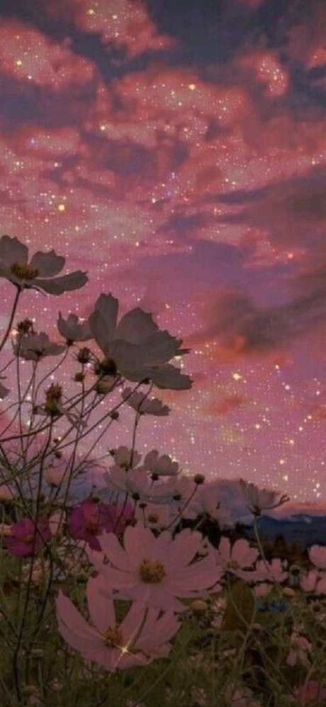 The Thicc Mermaid onlyfans page