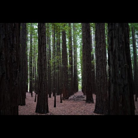 B3njamiv onlyfans leaked nudes