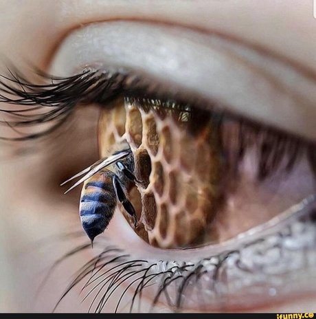 Toastmeister00 onlyfans nide