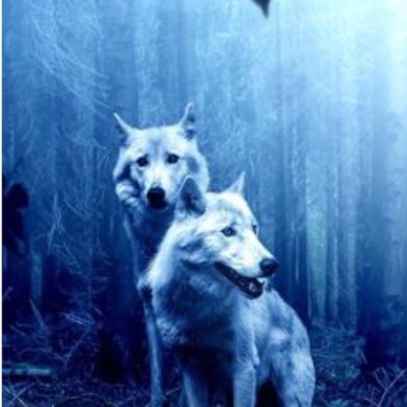 Tough Mommy leaked nude onlyfans