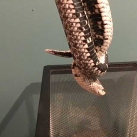 u8360874 feet onlyfans