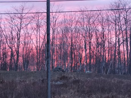 Pocky Kitty onlyfans creator