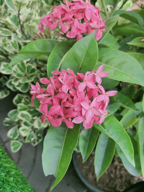 Kenji12 onlyfans nudes