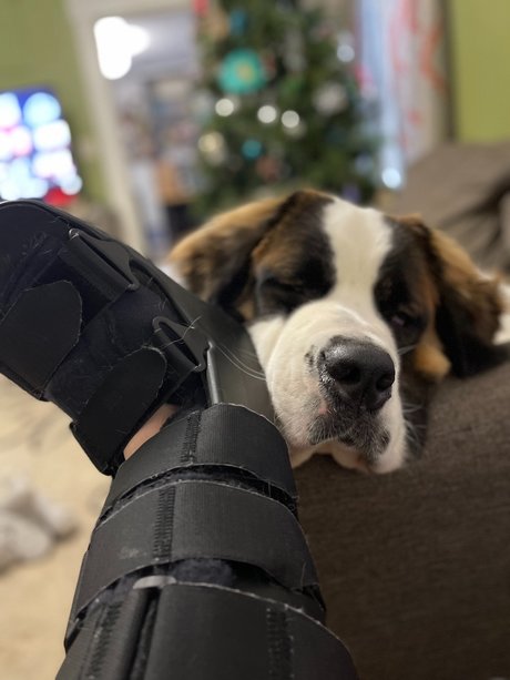 Nhdixiedanyell is on onlyfans