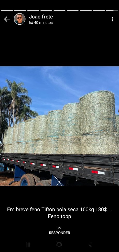 Tania Alvez nudes leaked onlyfans