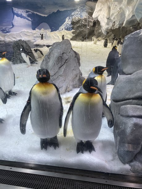 OMGPIEISSOGOOD onlyfans nude leak