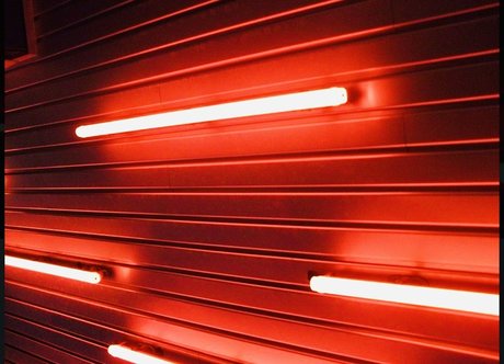 Panter amp ampTiger onlyfans public photos