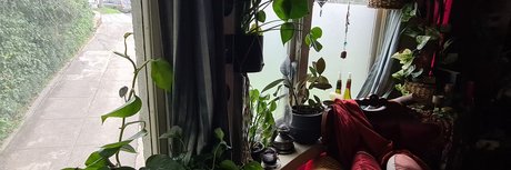 Poisoning Ivy onlyfans leaked free