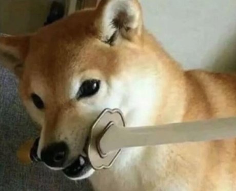 Diddy pup onlyfans xxx