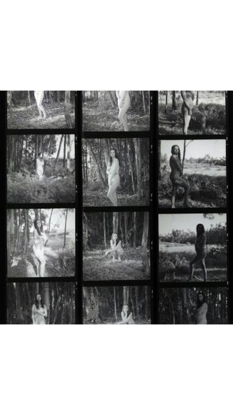 The Naked Bookclub onlyfans leak free