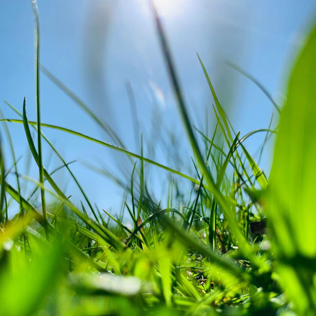 BenTooling only fans free