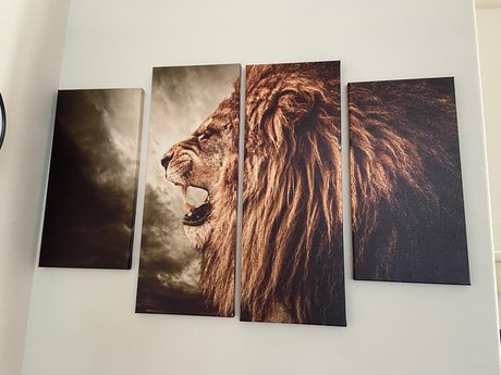 Skittles9993 only fans pictures