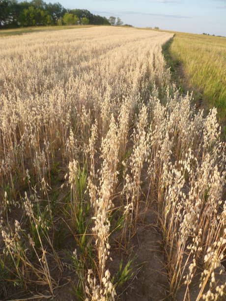 Richard Nixon was not swag onlyfans post