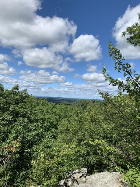 Bones_ onlyfans leams