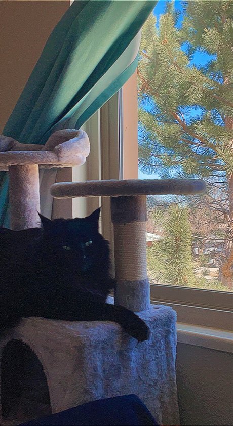 phthalo leaked only fans