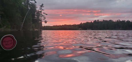 BurgundyWine69 She They_ onlyfans porn leak