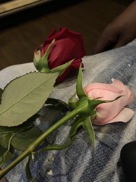 Blueyedcrush porn onlyfans leak