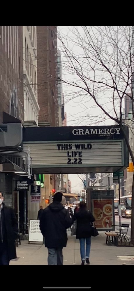 Zara Vo onlyfans leaks sex