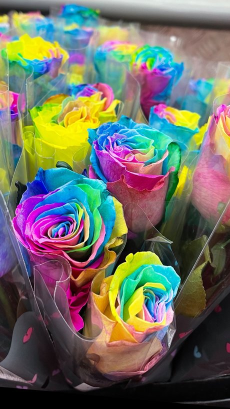 Kirstie onlyfans nude pics