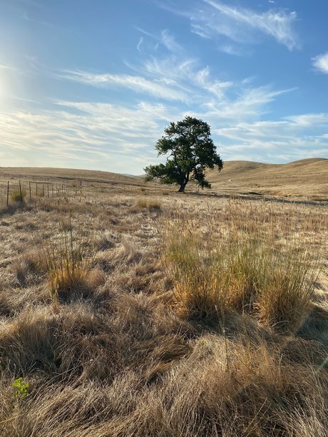 Jerrad greenick onlyfans gratis